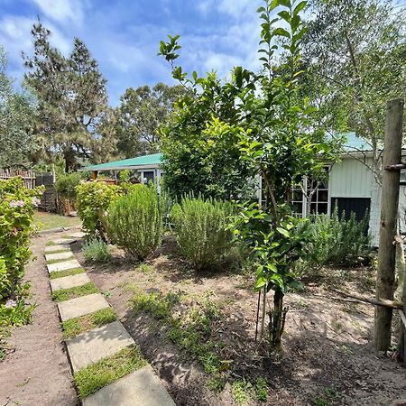 فندق Equleni Guest Farm سيدجفيلد المظهر الخارجي الصورة